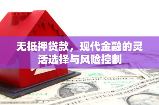 西充无抵押贷款，现代金融的灵活选择与风险控制