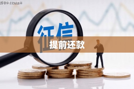 西充提前还款