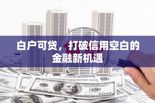西充白户可贷，打破信用空白的金融新机遇