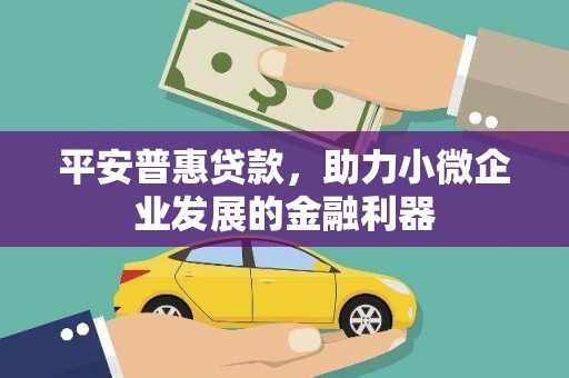 西充平安普惠贷款，助力小微企业发展的金融利器