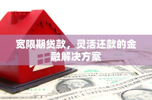 西充宽限期贷款，灵活还款的金融解决方案