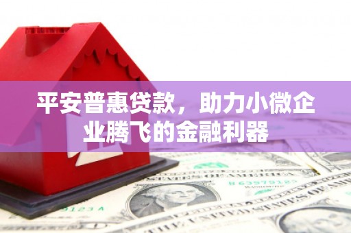 西充平安普惠贷款，助力小微企业腾飞的金融利器