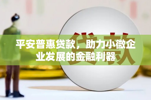西充平安普惠贷款，助力小微企业发展的金融利器