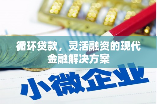 西充循环贷款，灵活融资的现代金融解决方案