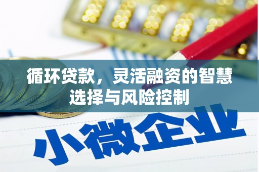 西充循环贷款，灵活融资的智慧选择与风险控制