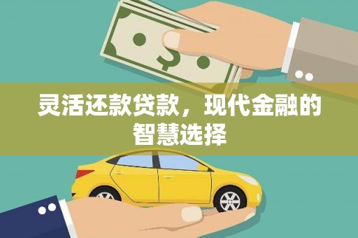 西充灵活还款贷款，现代金融的智慧选择