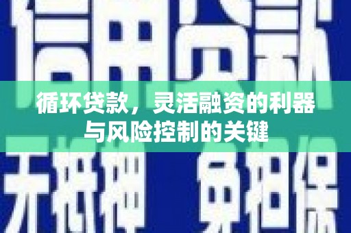 西充循环贷款，灵活融资的利器与风险控制的关键