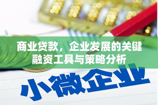 西充商业贷款，企业发展的关键融资工具与策略分析