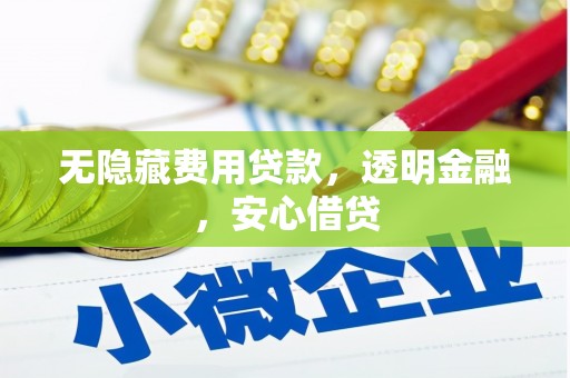 西充无隐藏费用贷款，透明金融，安心借贷