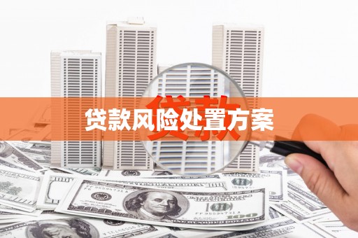 西充贷款风险处置方案