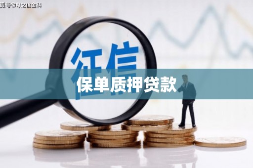 西充保单质押贷款