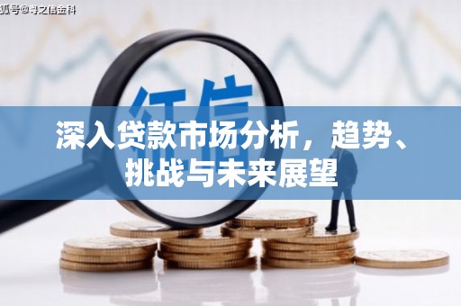 西充深入贷款市场分析，趋势、挑战与未来展望