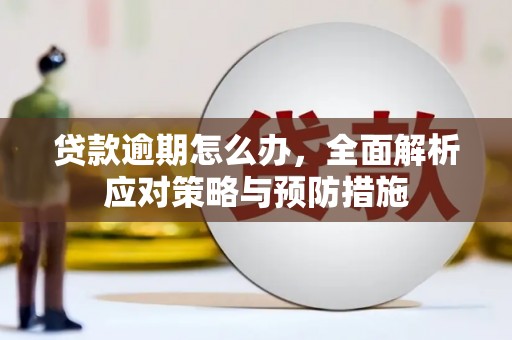 西充贷款逾期怎么办，全面解析应对策略与预防措施
