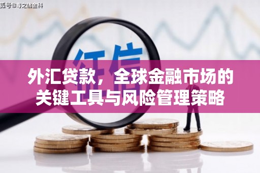 西充外汇贷款，全球金融市场的关键工具与风险管理策略