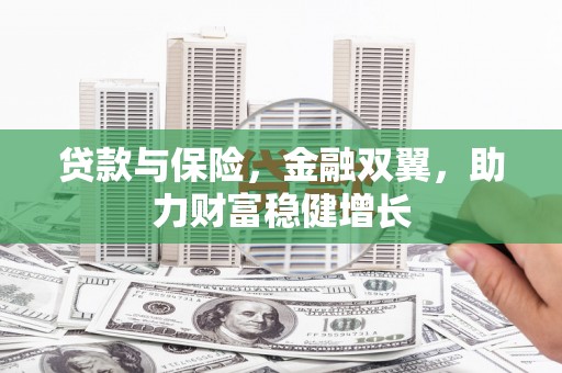 西充贷款与保险，金融双翼，助力财富稳健增长