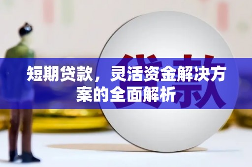 西充短期贷款，灵活资金解决方案的全面解析