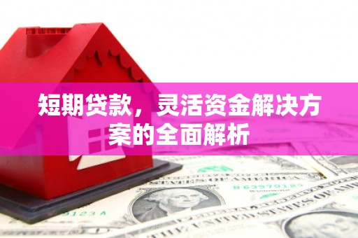 西充短期贷款，灵活资金解决方案的全面解析