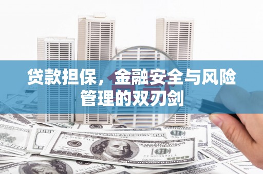 西充贷款担保，金融安全与风险管理的双刃剑