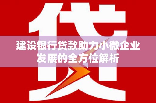 西充建设银行贷款助力小微企业发展的全方位解析