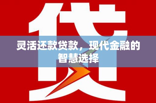 西充灵活还款贷款，现代金融的智慧选择