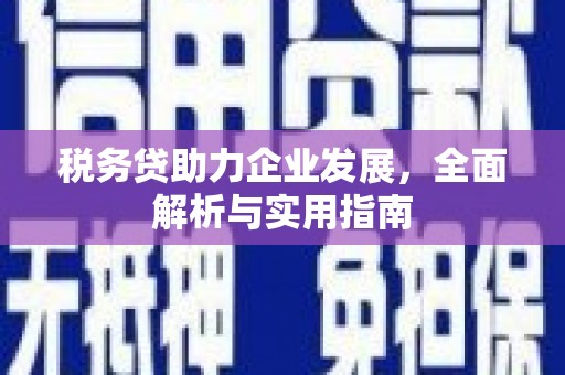 西充税务贷助力企业发展，全面解析与实用指南
