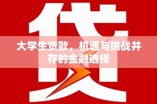 西充大学生贷款，机遇与挑战并存的金融选择