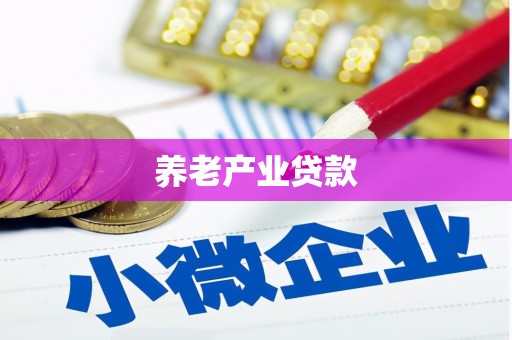 西充养老产业贷款