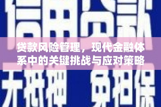 西充贷款风险管理，现代金融体系中的关键挑战与应对策略