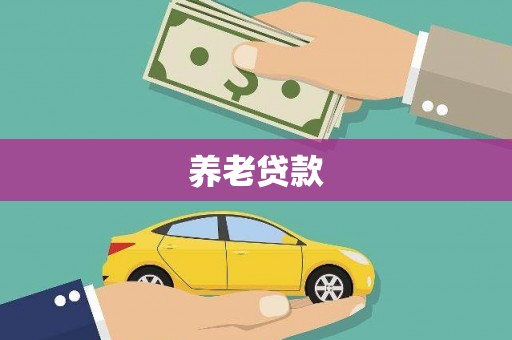西充养老贷款